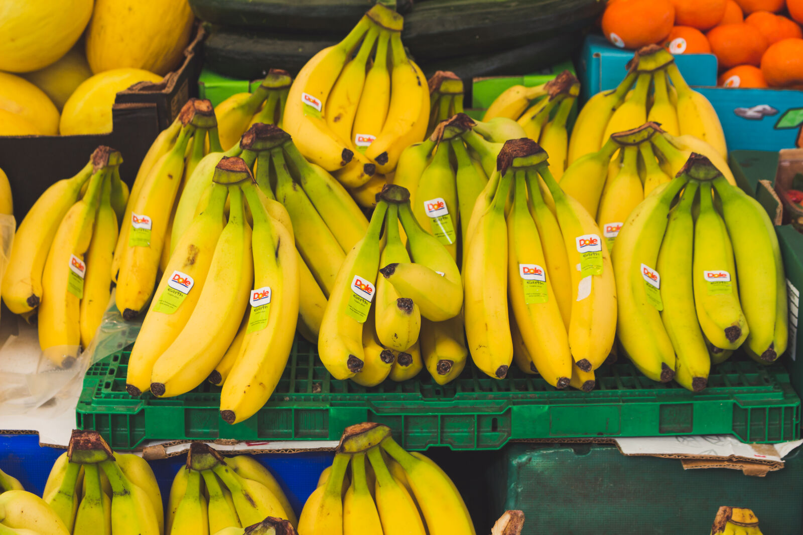 Canon EOS 700D (EOS Rebel T5i / EOS Kiss X7i) sample photo. Bananas, delicious, food, fresh photography