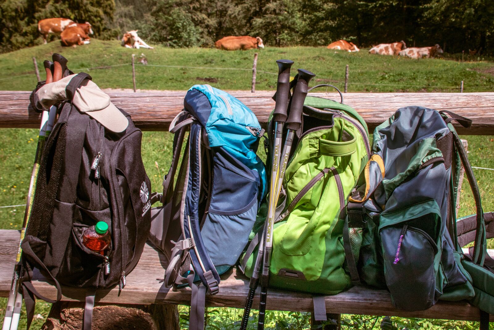Canon EOS 80D sample photo. Backpacks, hiking, mountains photography