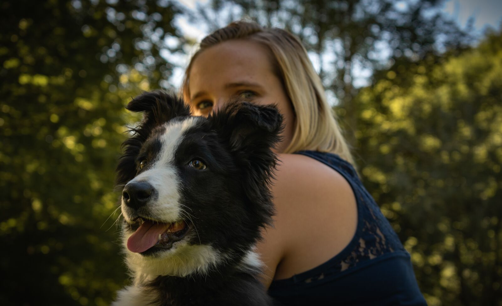 Nikon D3500 sample photo. Borde, collie, puppy photography