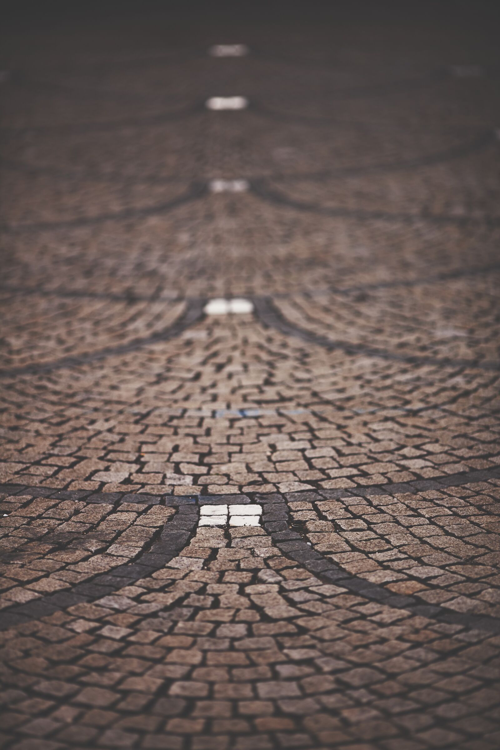 Canon EOS-1Ds Mark III sample photo. Paving stone, away, paving photography