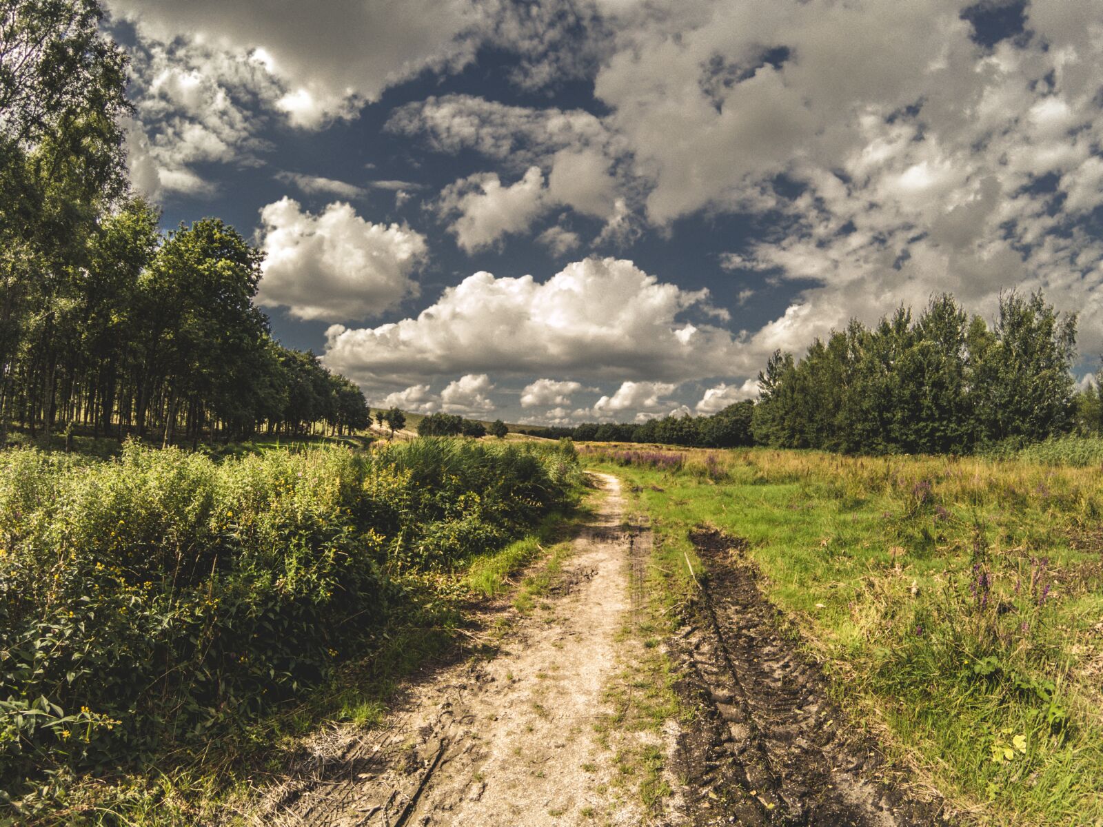 GoPro Hero5 Black sample photo. Road, dirt, cloud photography