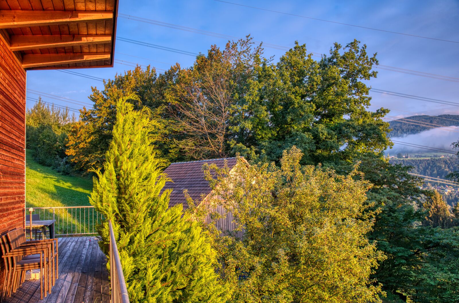 Nikon D750 sample photo. Evening sun, autumn mood photography