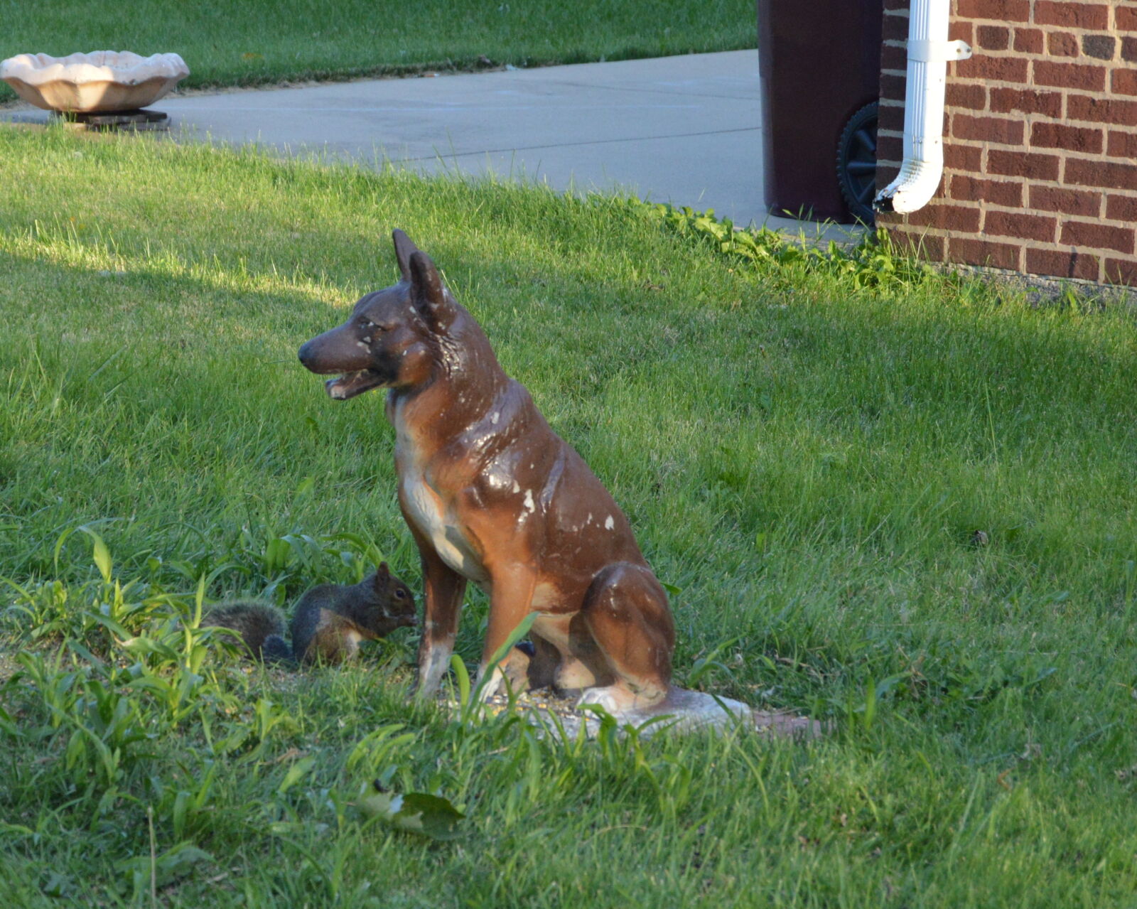 Nikon D3200 sample photo