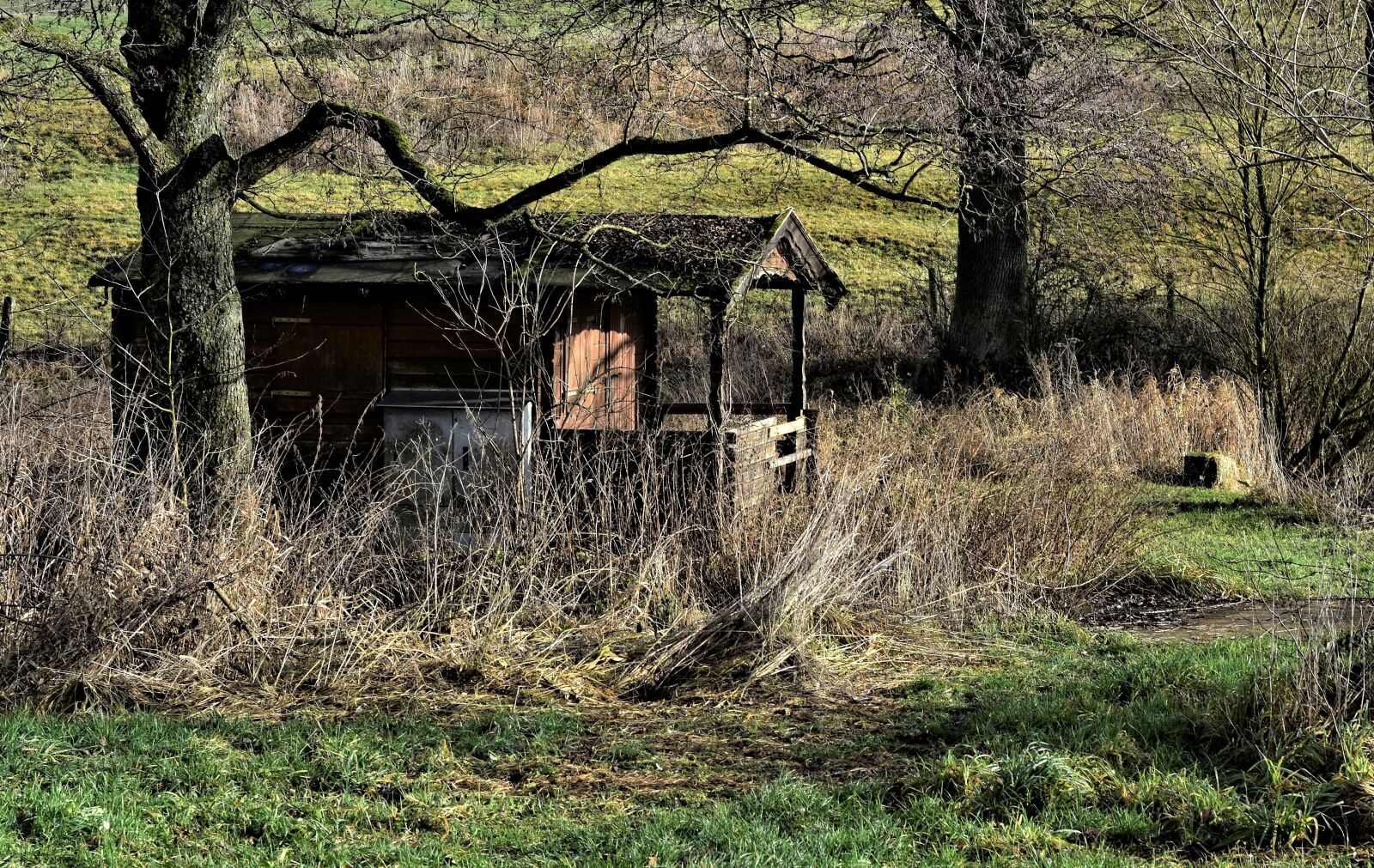 Nikon D7200 sample photo. Hut, log cabin, house photography