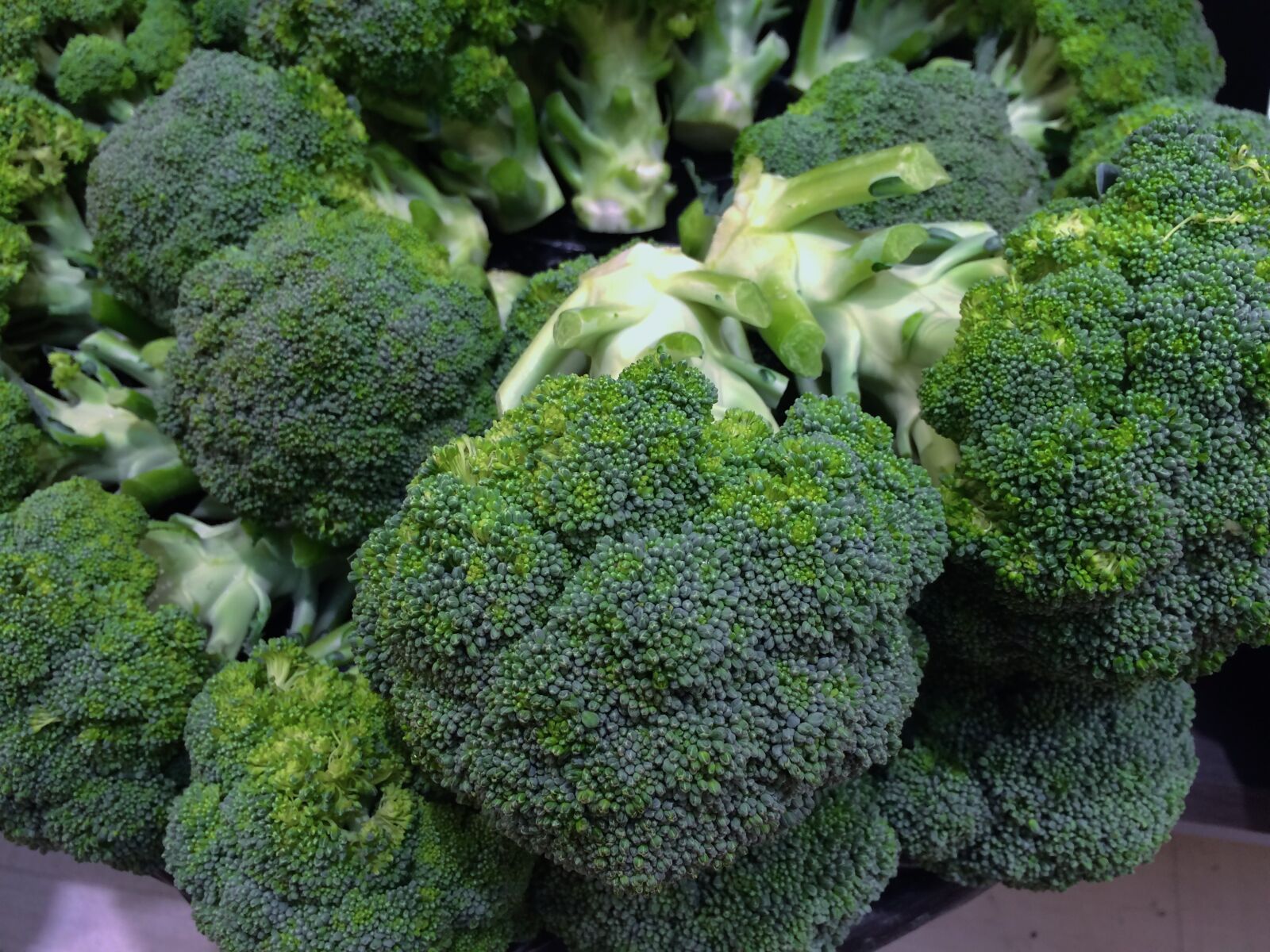 iPhone 5s back camera 4.15mm f/2.2 sample photo. Broccoli, green, young and photography