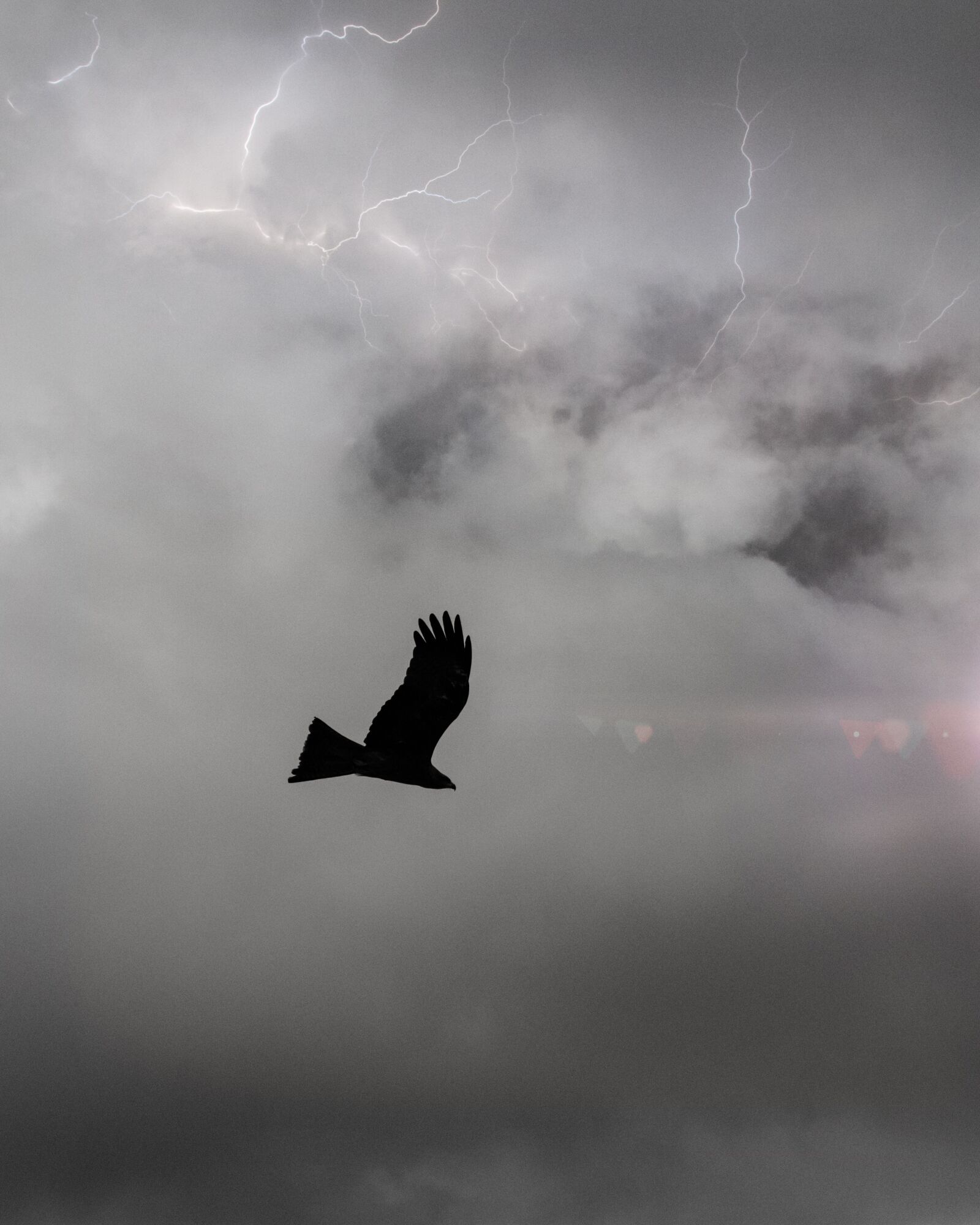 Nikon D5200 sample photo. Tranquil, scenic, bird photography