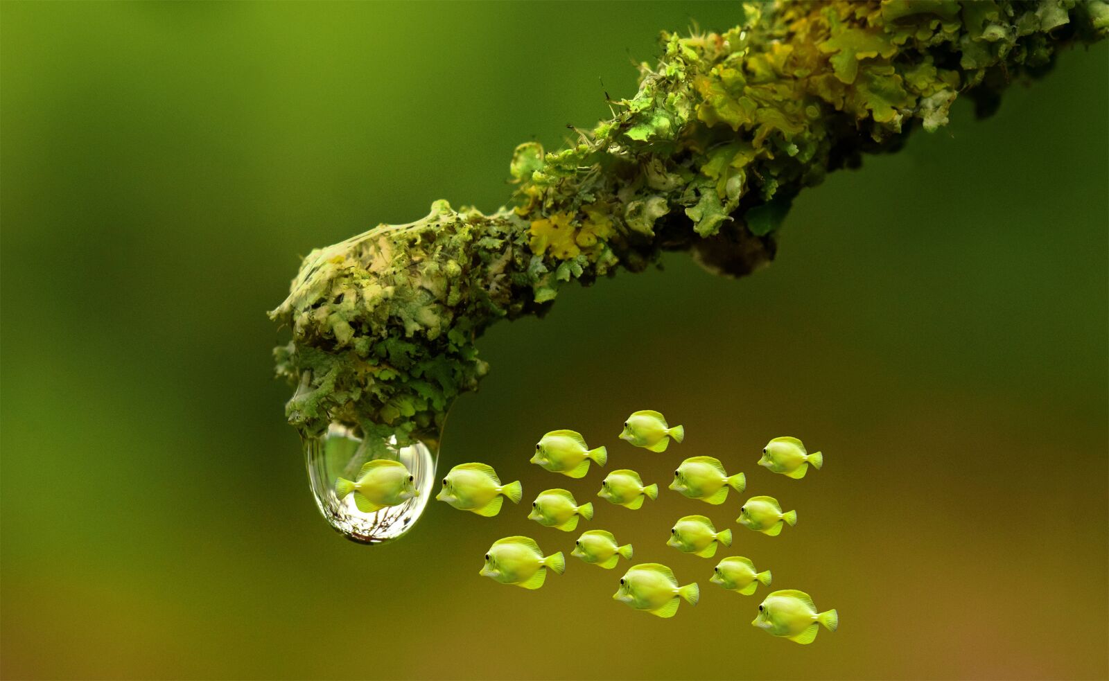 Nikon D3300 sample photo. Drop of water, water photography