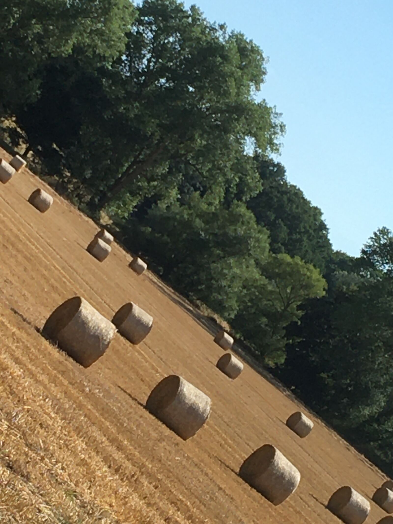 iPhone 6s back camera 4.15mm f/2.2 sample photo. Harvest, summer, field photography