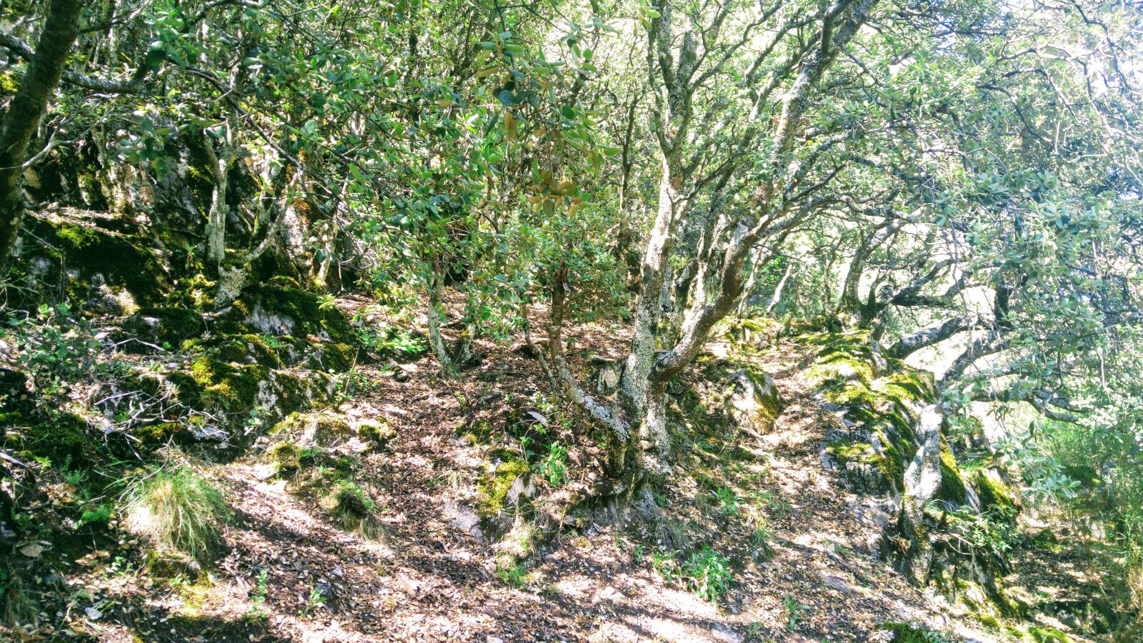 LG G4 sample photo. Spain, leon, penalba de photography