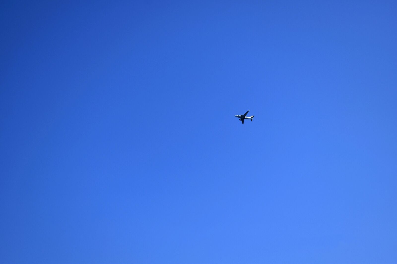 Nikon D5600 sample photo. Sky, blue, birds photography