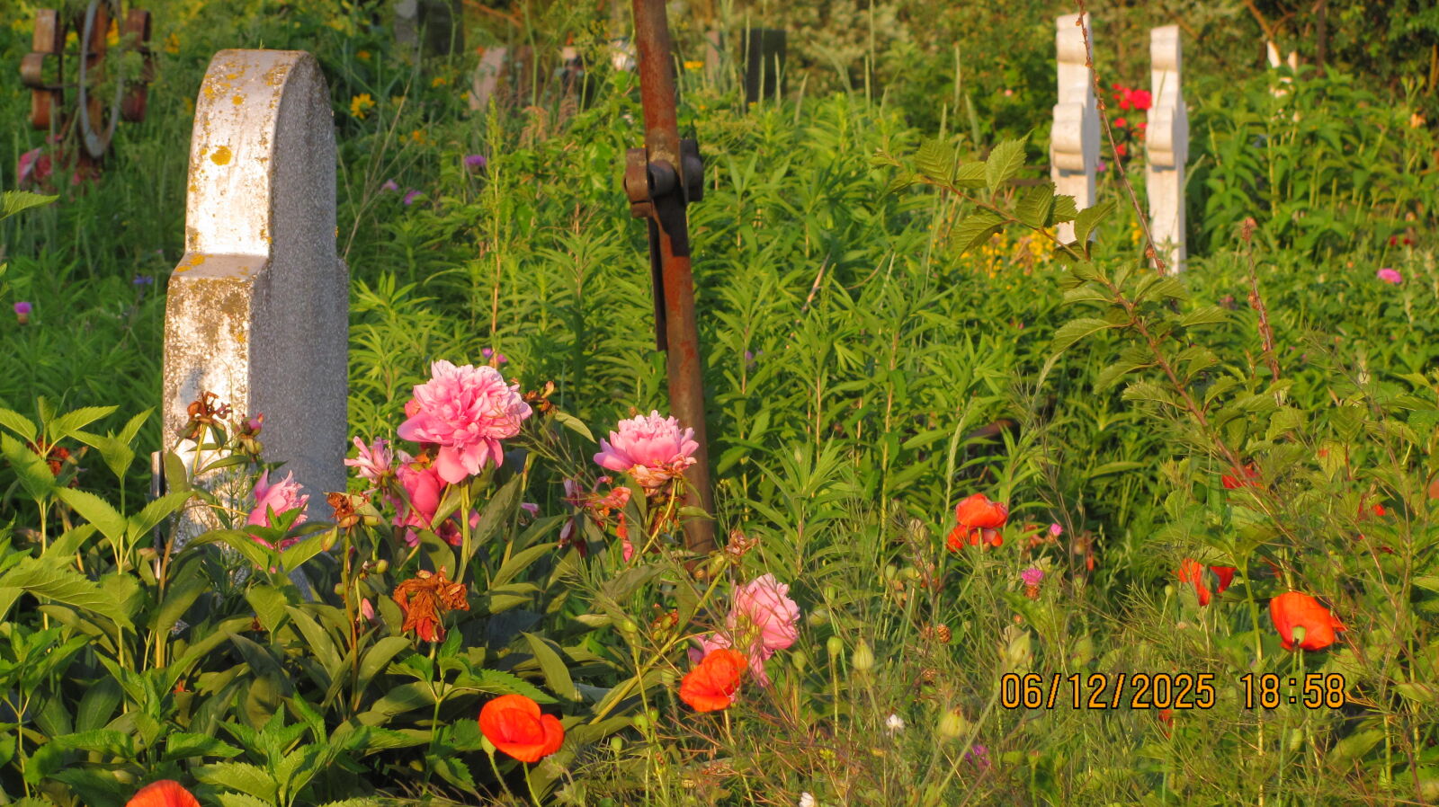 Canon PowerShot SX120 IS sample photo