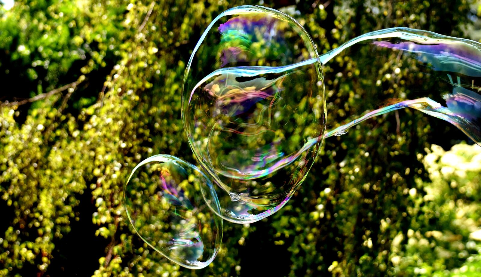 Nikon D7200 sample photo. Soap bubble, huge, large photography