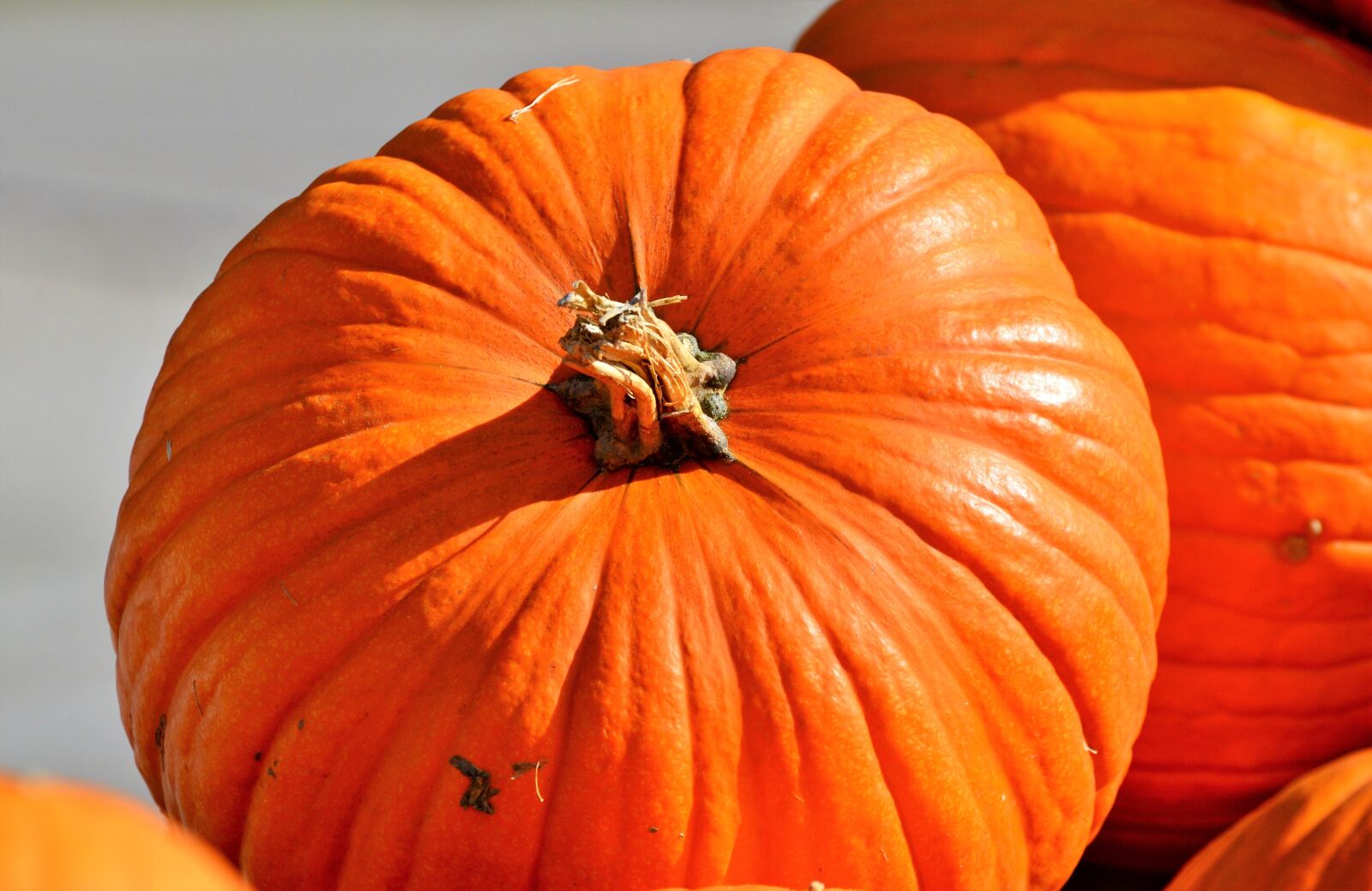 Nikon D3200 sample photo. Pumpkin, fruit, orange photography