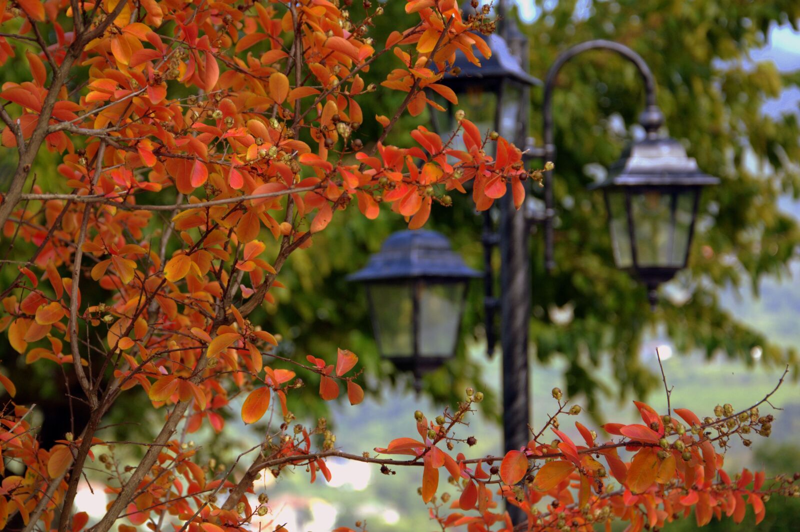 Nikon D7100 sample photo. Autumn, leaves, lamppost photography