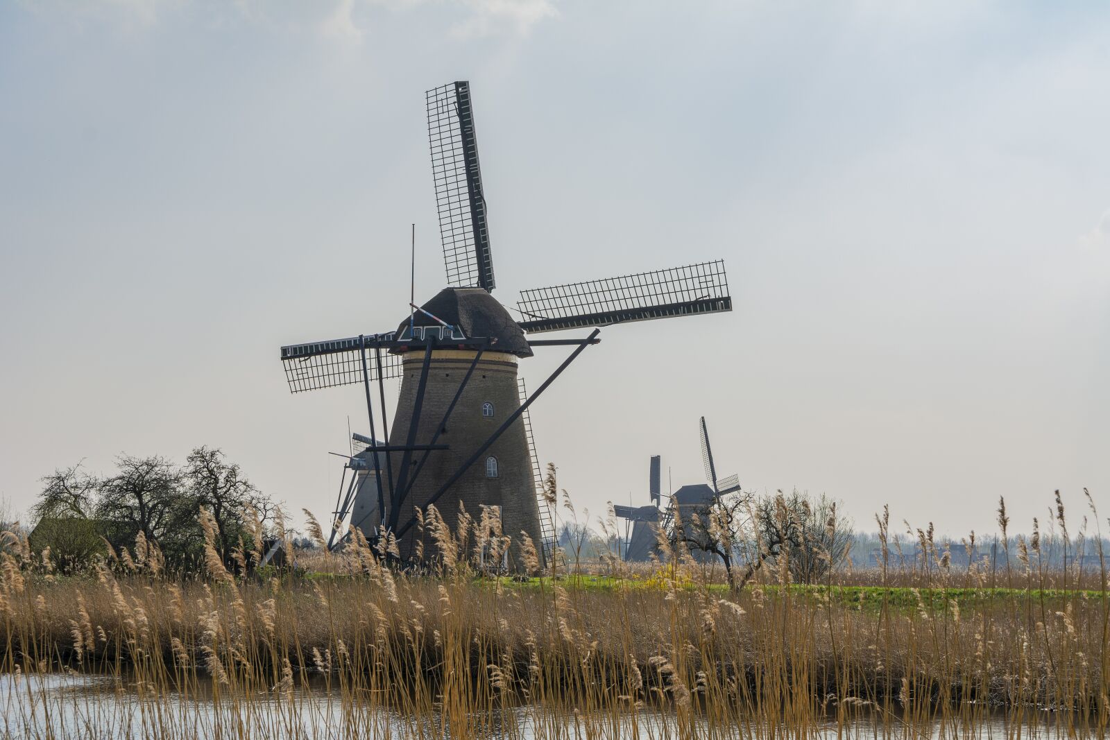 Nikon D5200 sample photo. Kinderdijk, mill, holland photography