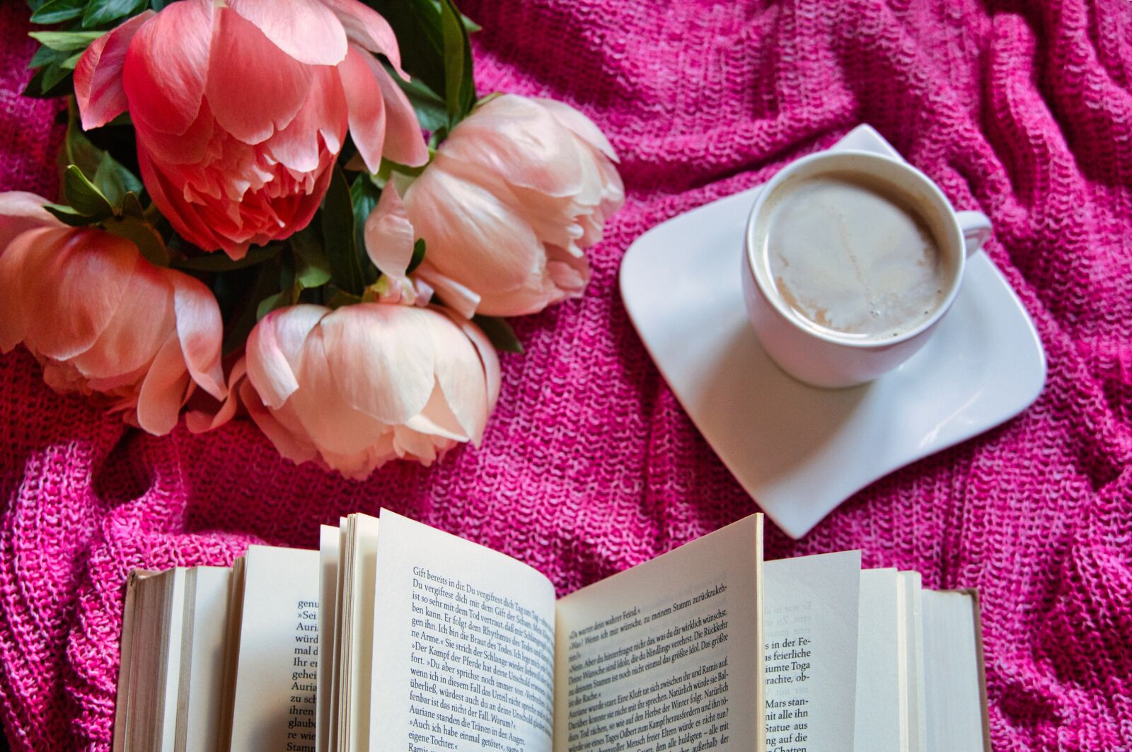 Sony a6400 sample photo. At home, books, read photography