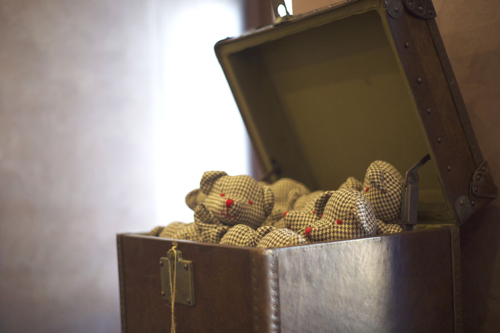 Sony Alpha DSLR-A850 sample photo. Bear, teddy bear, toy photography