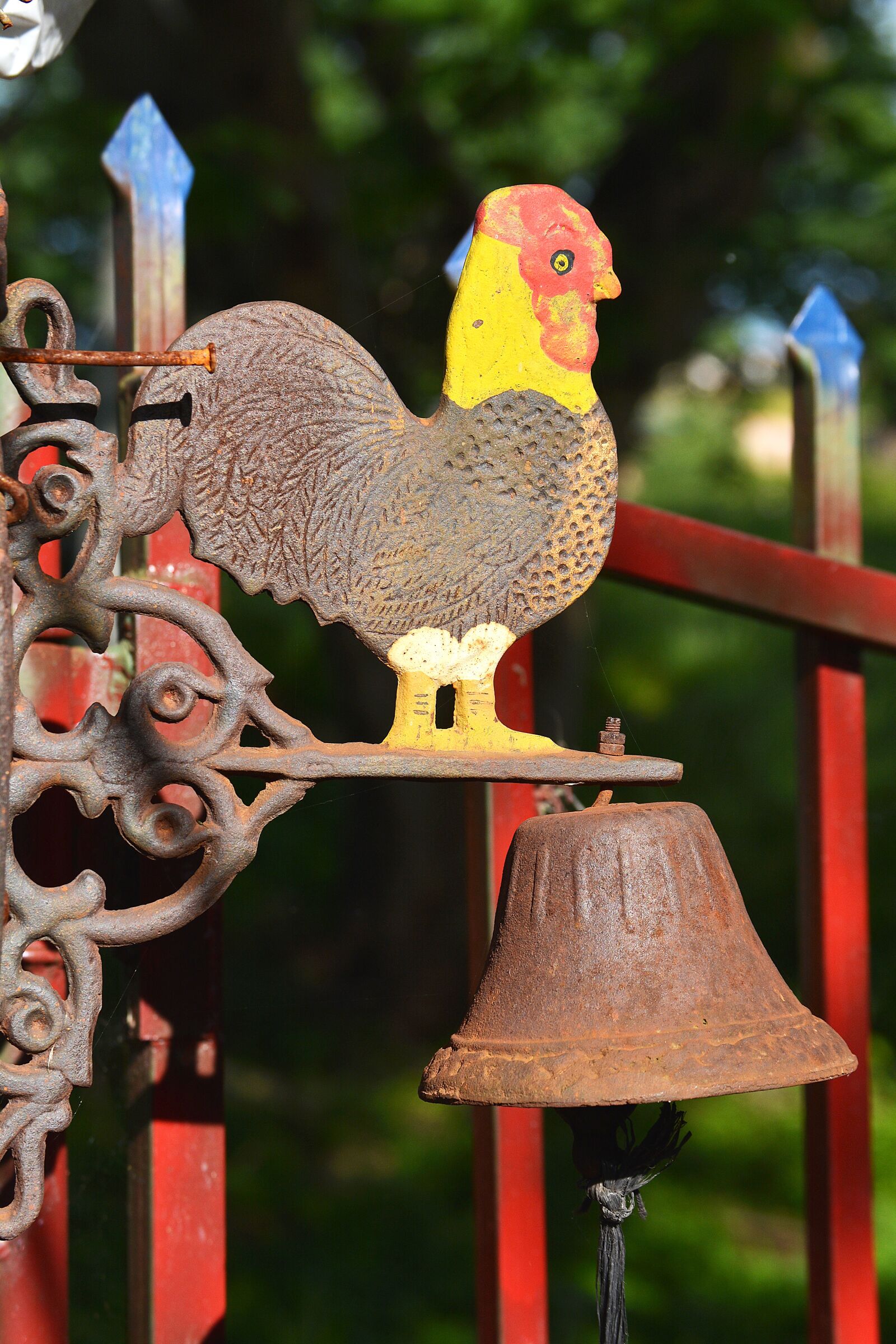 Nikon D5200 sample photo. Gallo, campaign, metal photography