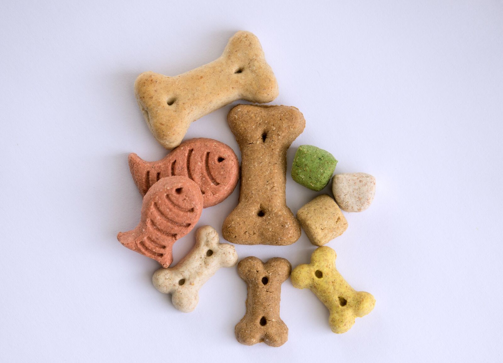 Sony Cyber-shot DSC-RX10 III sample photo. Treats, dog, bone photography