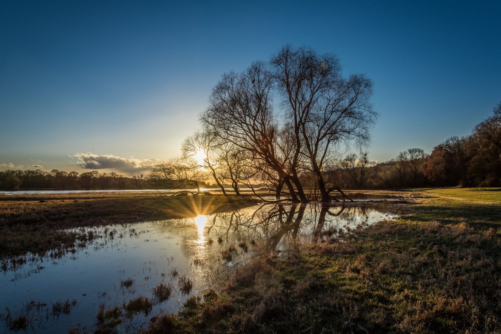 Nikon D7200 sample photo. Elbe, high water, evening photography