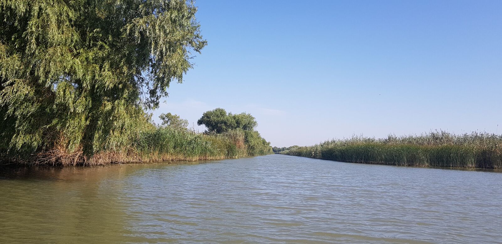 Samsung Galaxy S8+ sample photo. Danube, delta, nature photography
