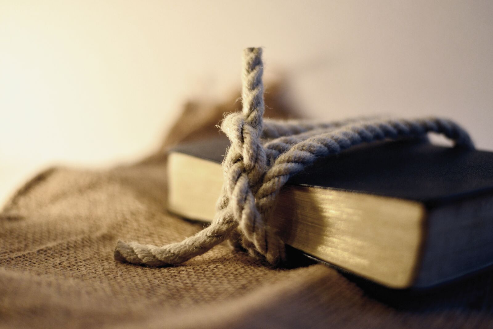 Nikon D610 sample photo. Rope, knot, book photography