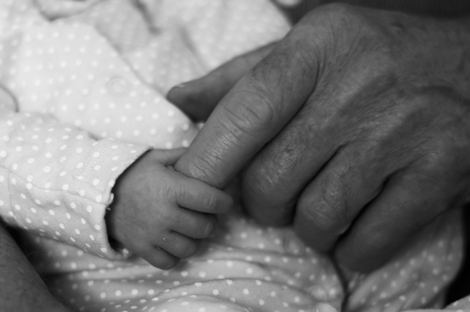 Nikon D90 sample photo. Grandparents, new baby, hands photography