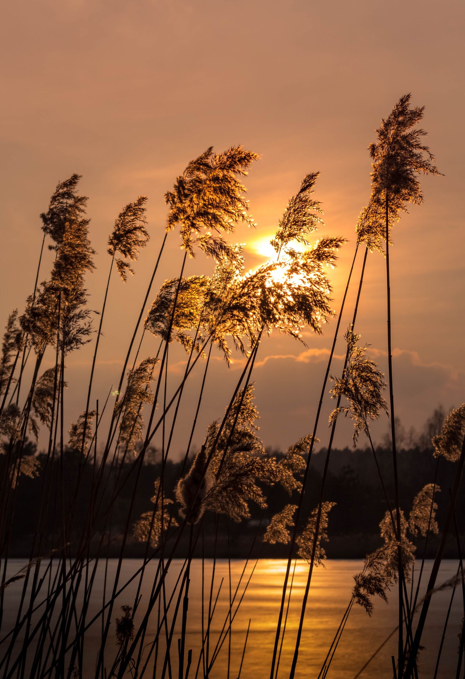 Canon EOS 700D (EOS Rebel T5i / EOS Kiss X7i) sample photo. Sunset, evening, lake photography
