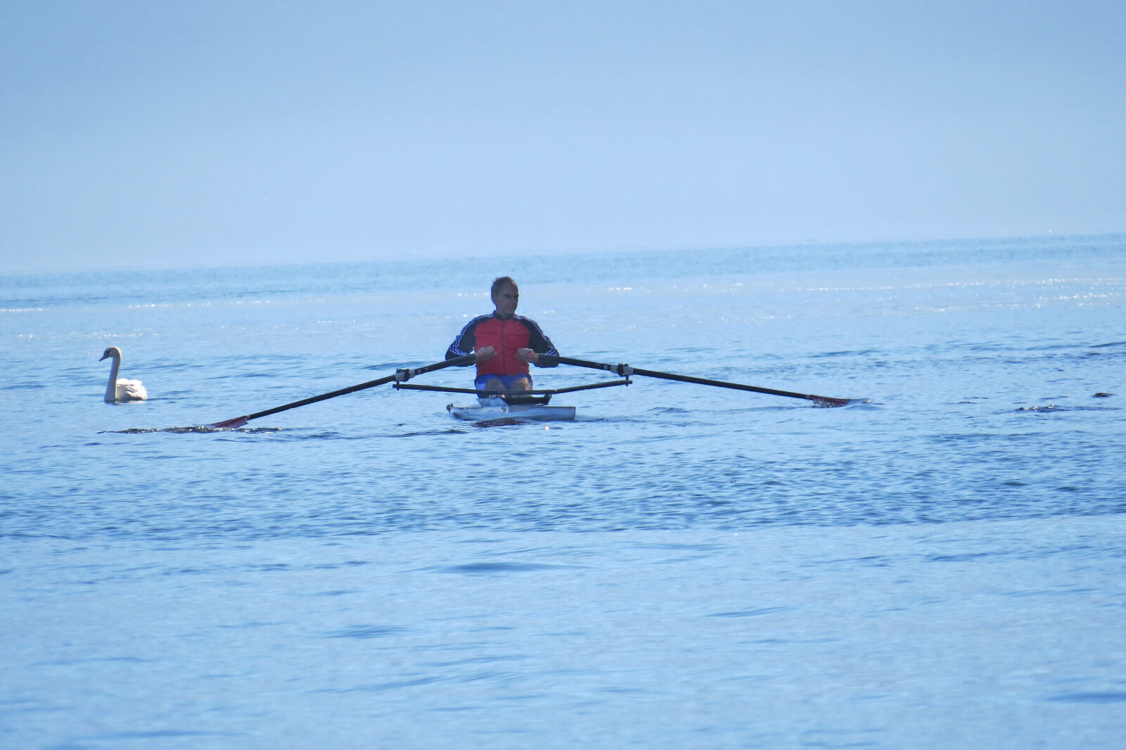 Canon PowerShot SX50 HS sample photo. Blue, boat, lake, oarsman photography