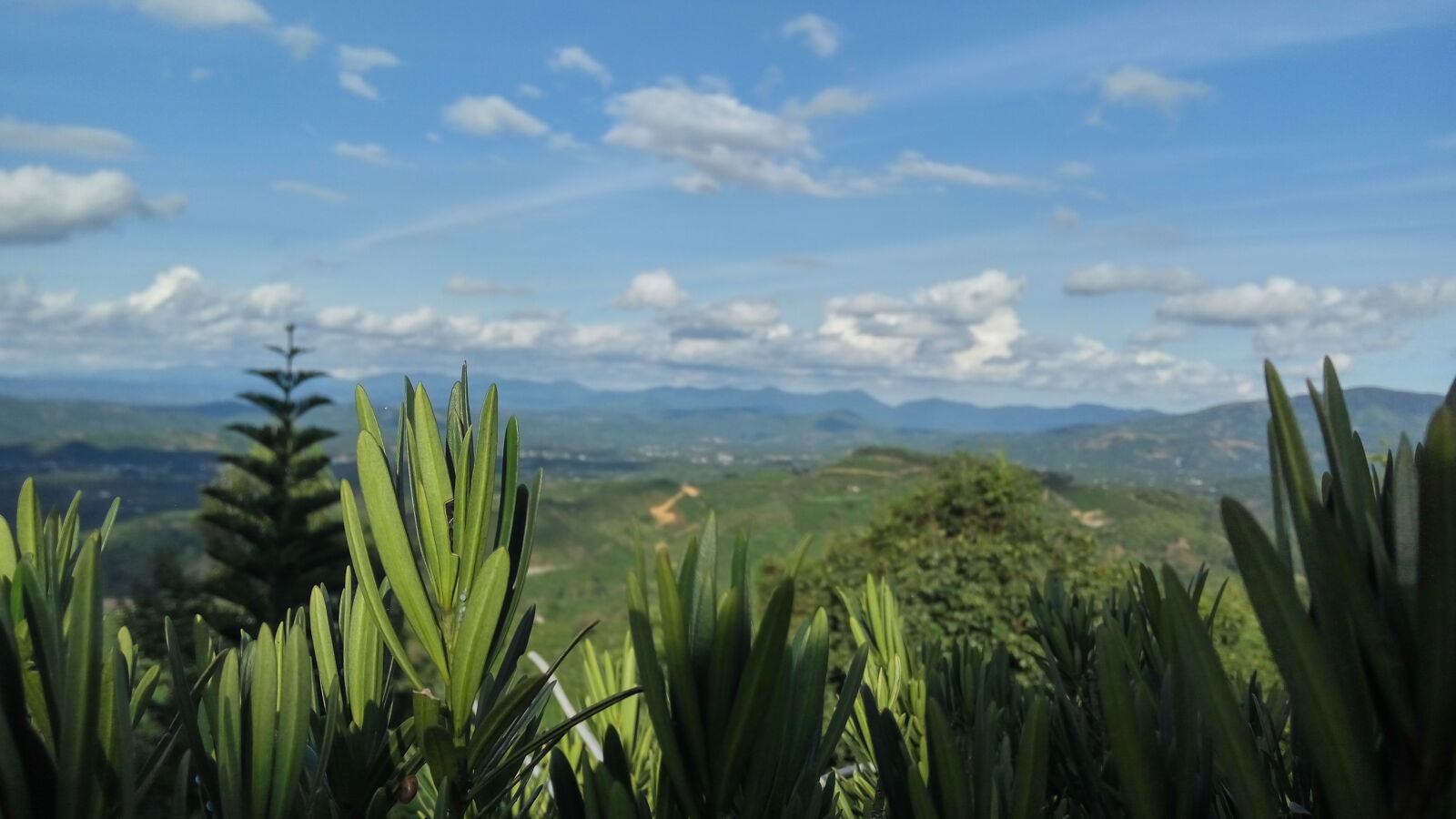 Xiaomi Redmi Note 3 sample photo