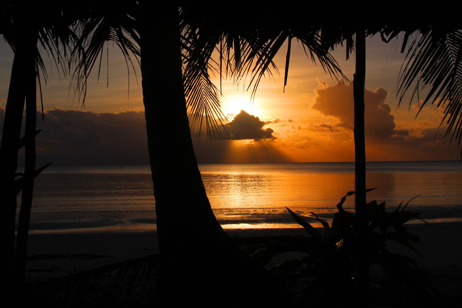 Canon EOS 700D (EOS Rebel T5i / EOS Kiss X7i) sample photo. Sunset, kei islands, beach photography