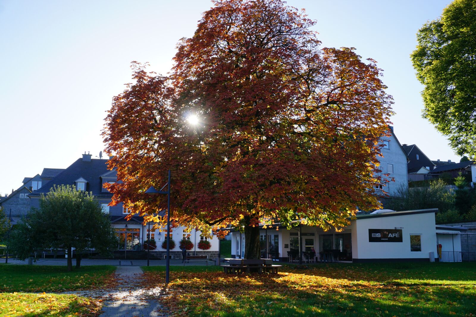 Sony E 16-50mm F3.5-5.6 PZ OSS sample photo. Chestnut tree, autumn, park photography