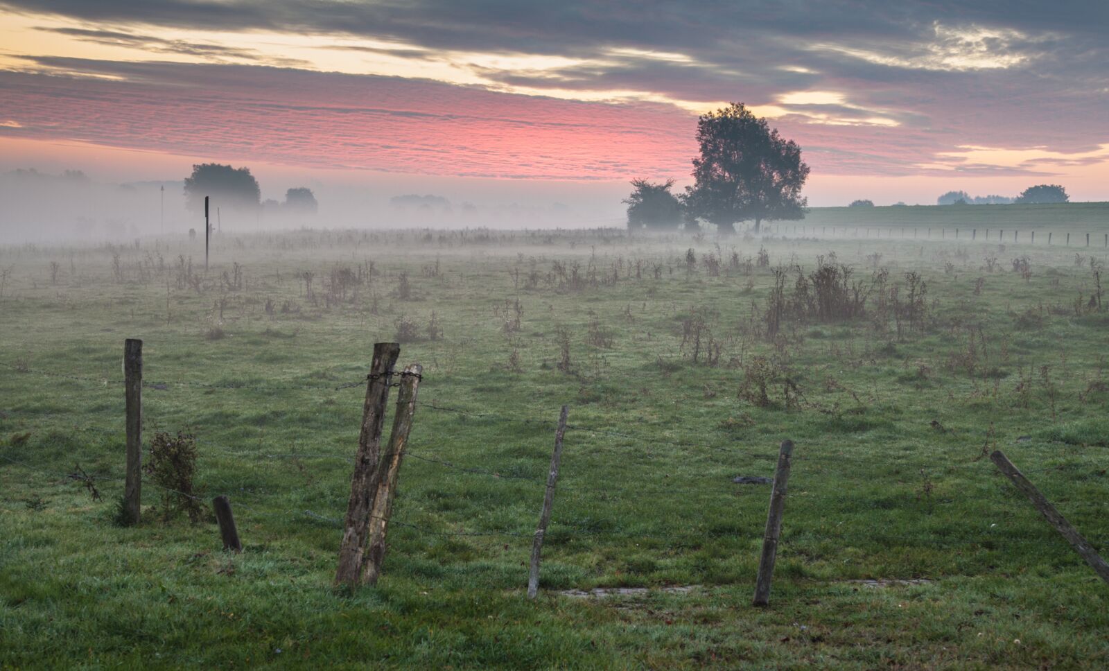 Canon EOS 5D Mark II sample photo. Sunrise, meadow, landscape photography
