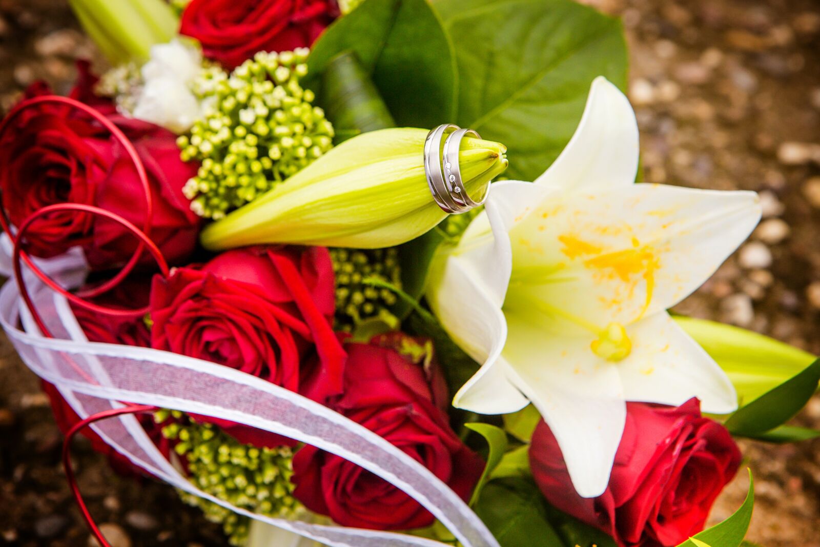 Canon EOS 6D + Canon EF 24-70mm F2.8L USM sample photo. Wedding rings, wedding, rings photography