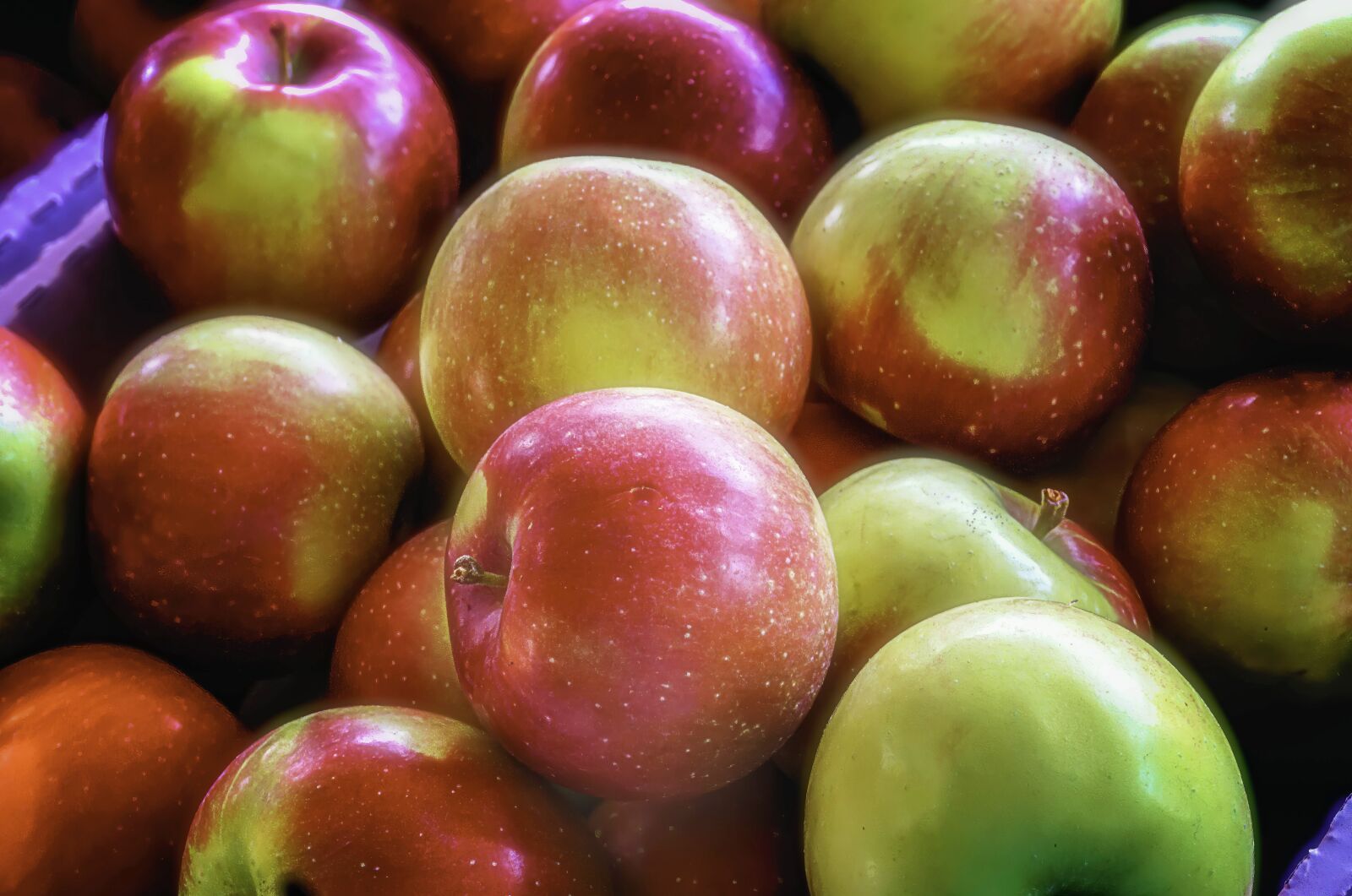 Sony a6300 sample photo. Apples, harvest, fruit photography