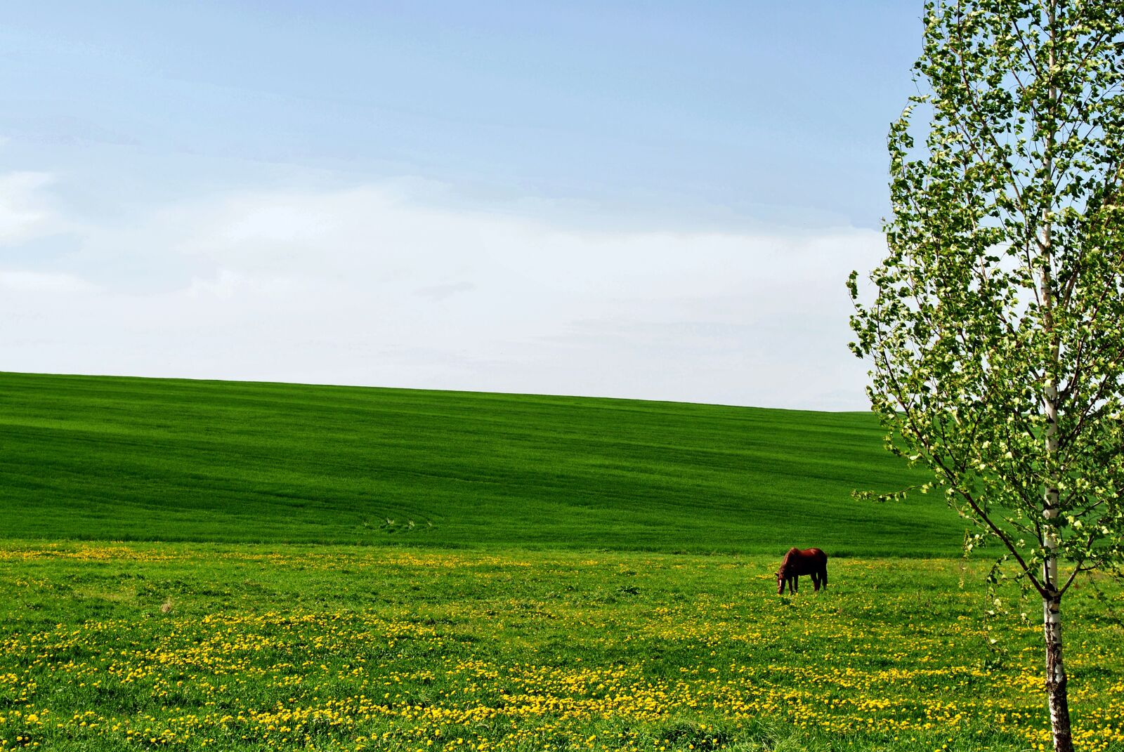 Nikon D3000 sample photo. Nature, sky, landscape photography