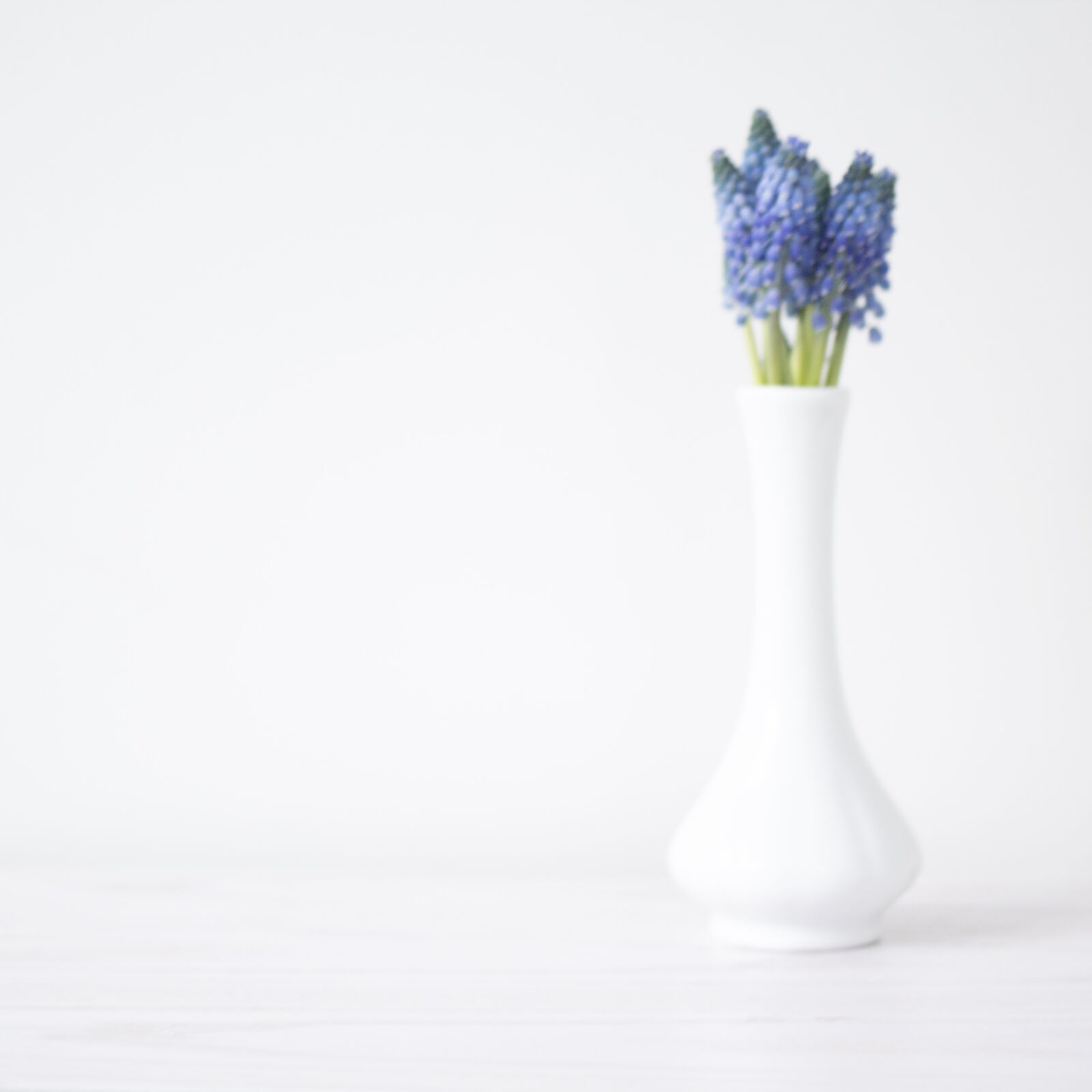 Canon EOS 60D + Canon EF 50mm F1.8 II sample photo. Vase, bluebells, spring photography