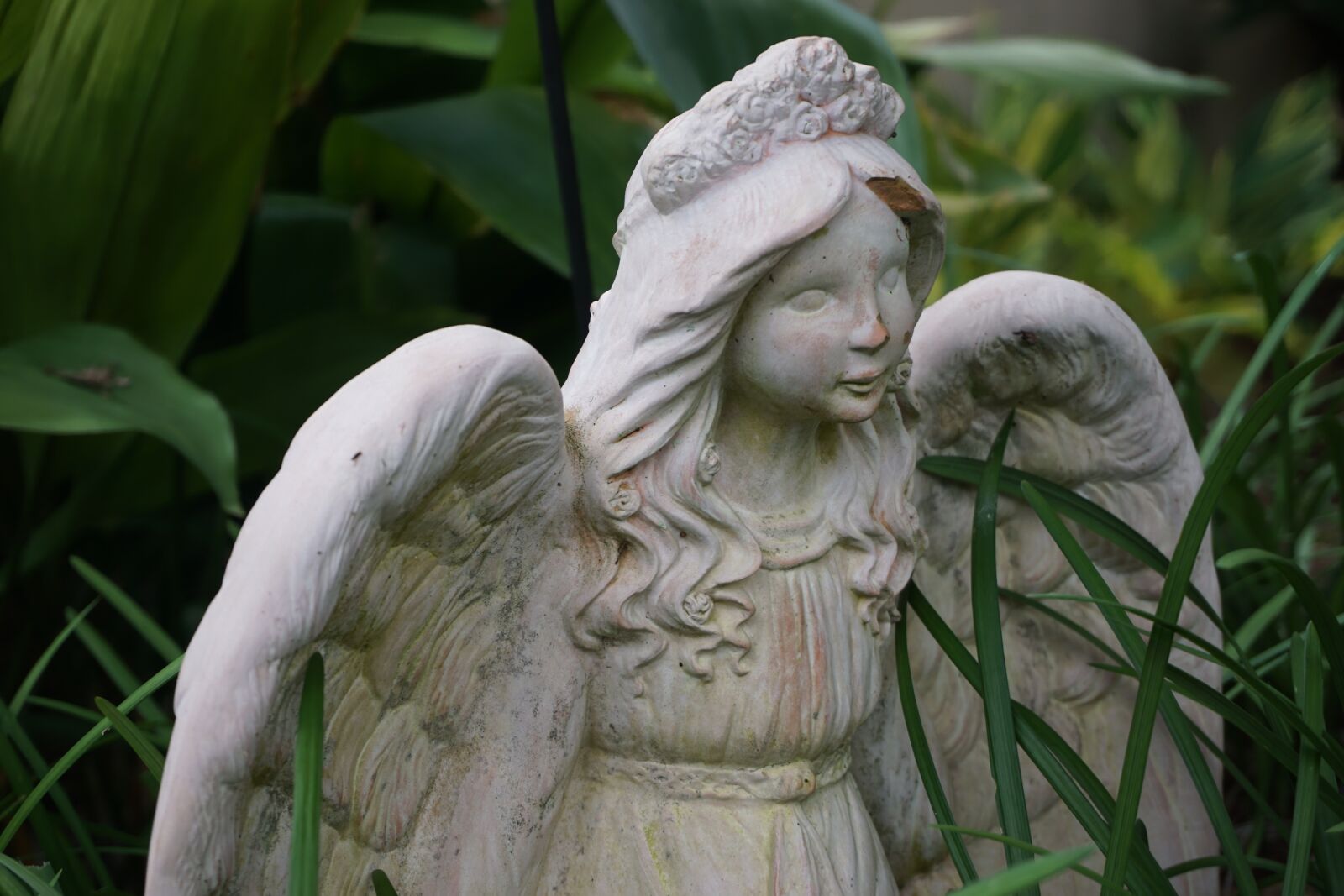 Sony a6000 sample photo. Angel, statue, sculpture photography