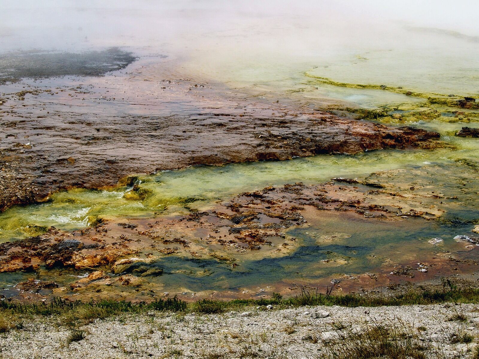Olympus E-330 (EVOLT E-330) sample photo. Yellowstone national park, wyoming photography