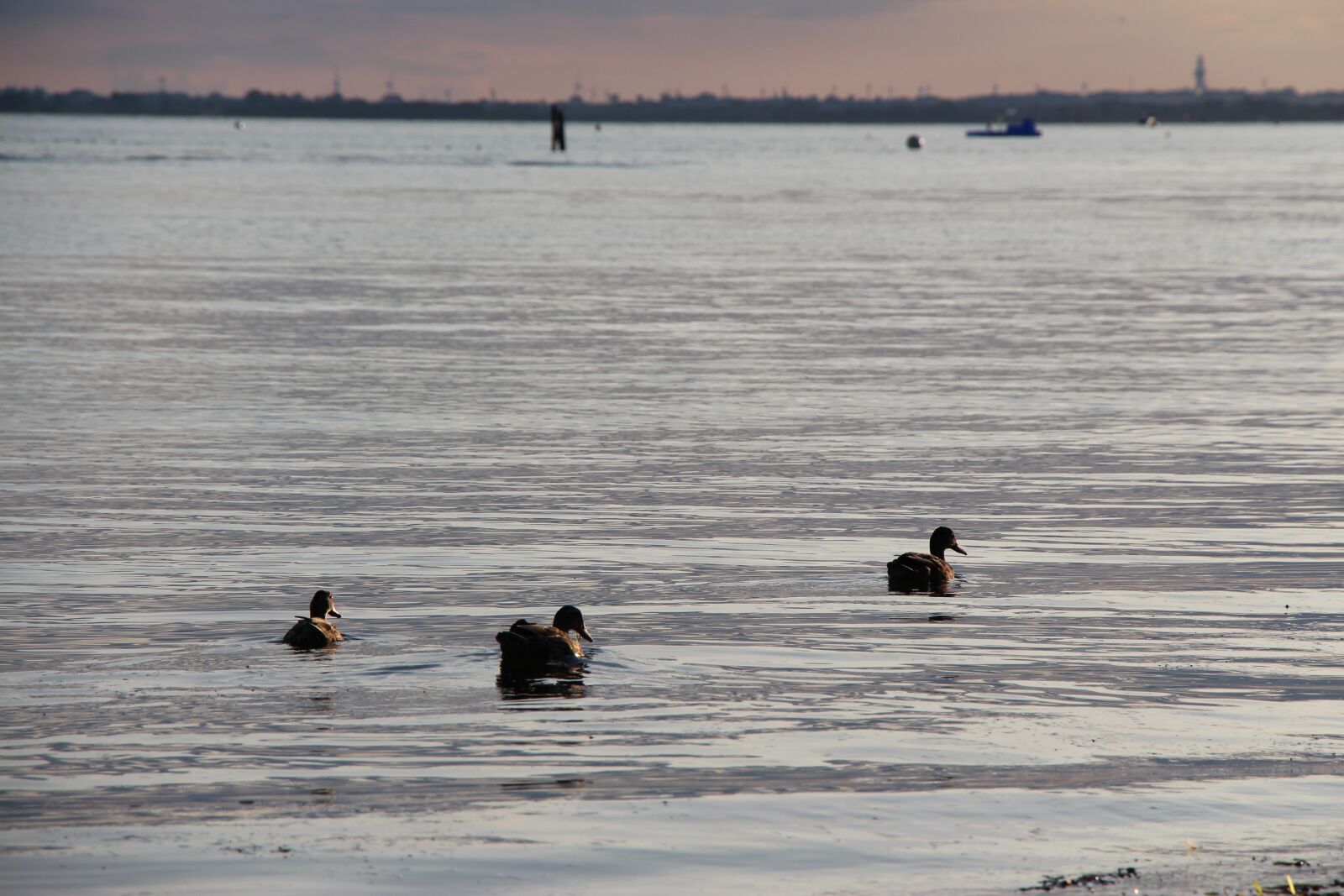 Canon EOS 650D (EOS Rebel T4i / EOS Kiss X6i) sample photo. Water, sea, by the photography