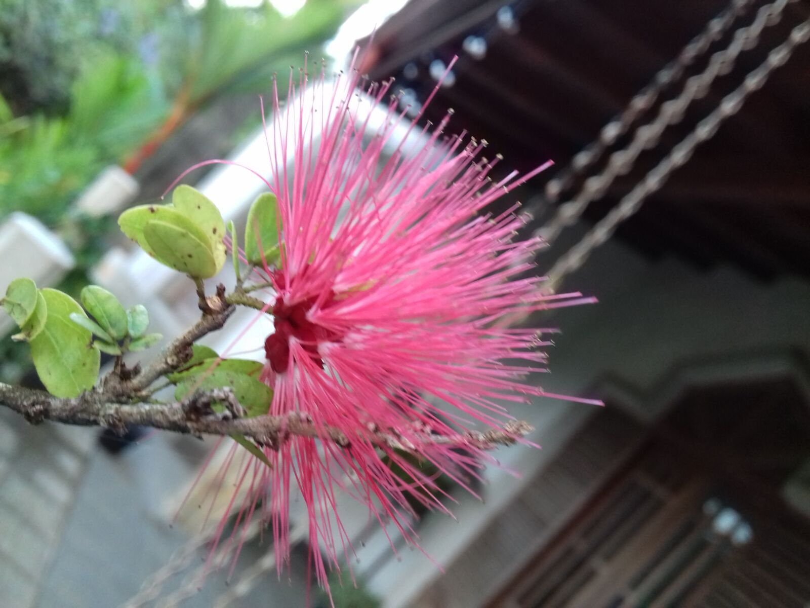 Samsung Galaxy J3(2016) sample photo