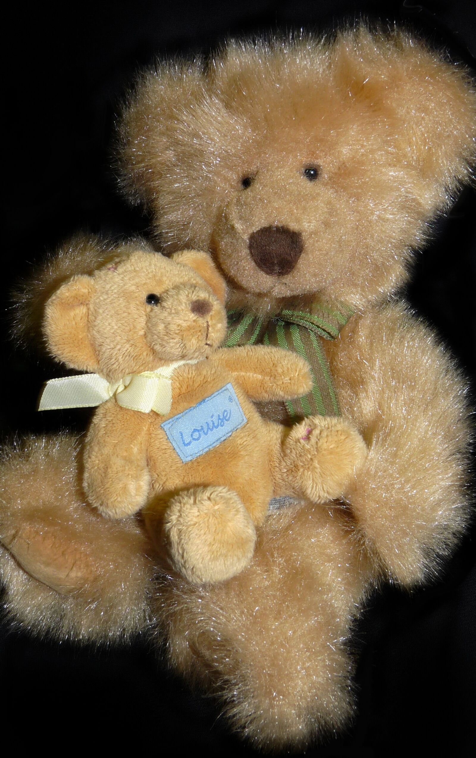 Panasonic Lumix DMC-FZ28 sample photo. Bears, teddies, cute photography