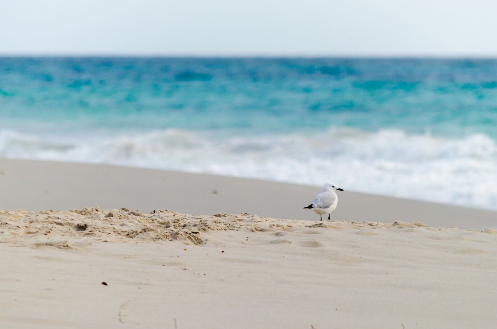 Nikon D5100 sample photo. Landscape, seascape, nature photography