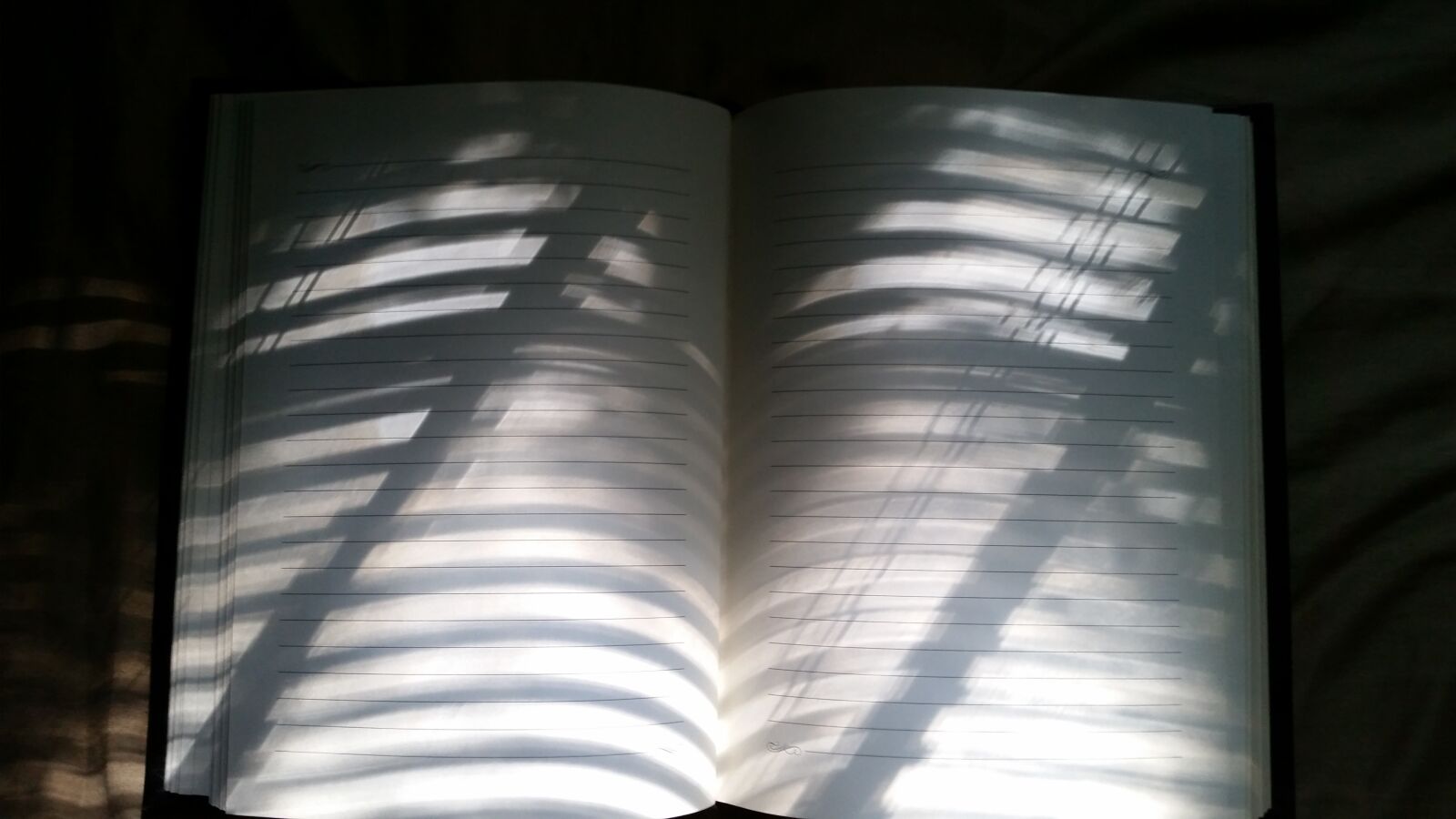 Samsung Galaxy S5 sample photo. Notebook, lined, lines photography