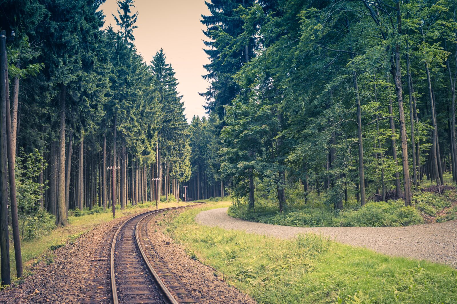 Canon EOS 100D (EOS Rebel SL1 / EOS Kiss X7) sample photo. Track, forest, narrow-gauge railway photography