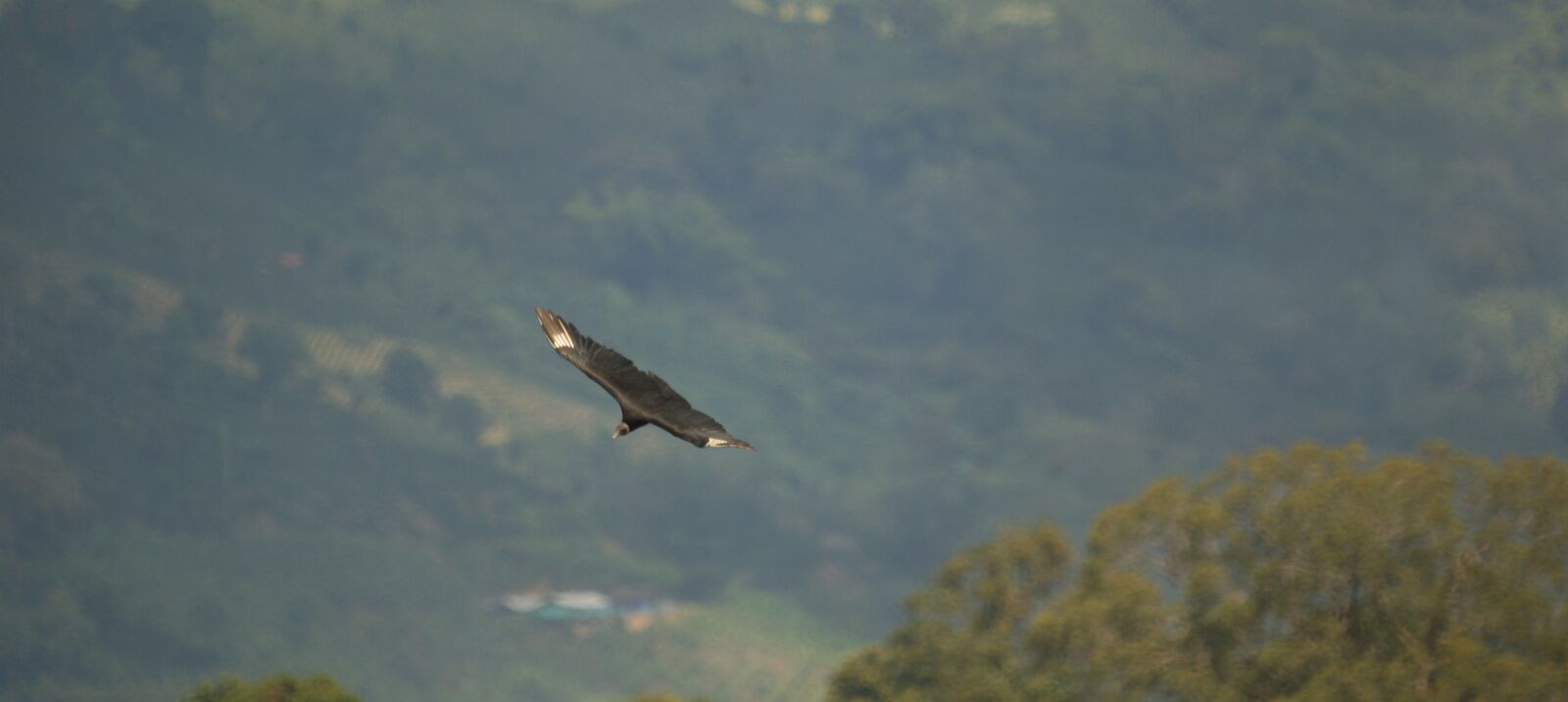 Sony Alpha DSLR-A390 sample photo. Nature, landscapes, armenia photography