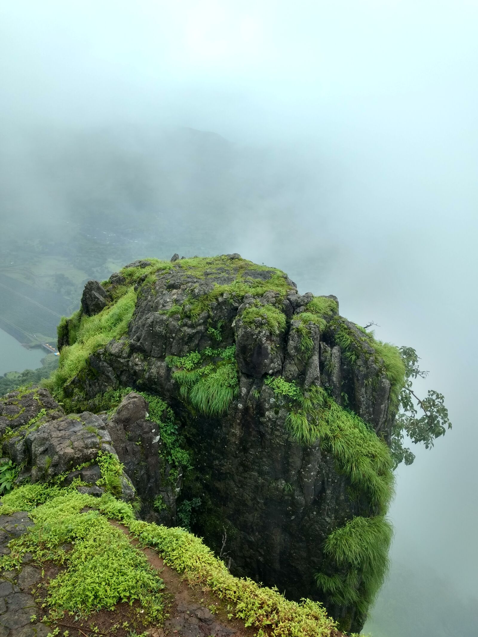 Motorola Moto G (4) sample photo. Foggy, green, hd, wallpaper photography