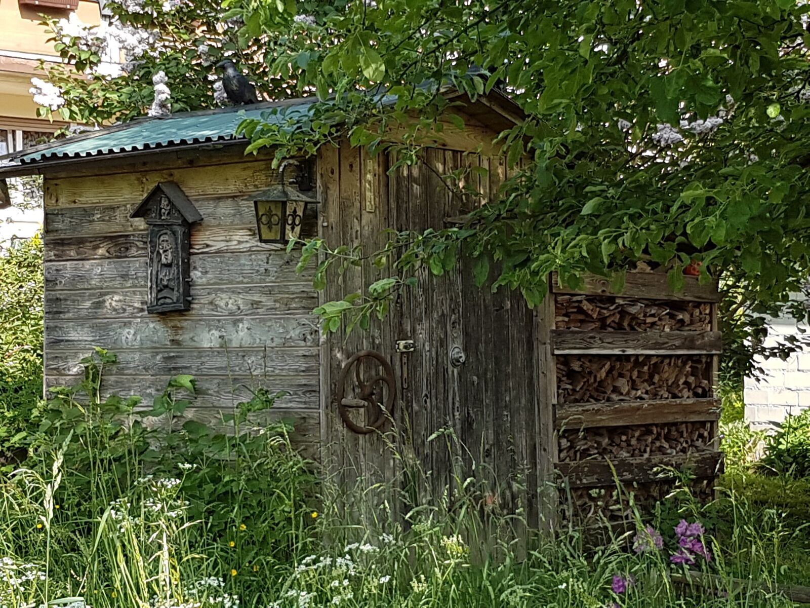 Samsung Galaxy S7 Edge sample photo. Idyllic, hiking, nature photography