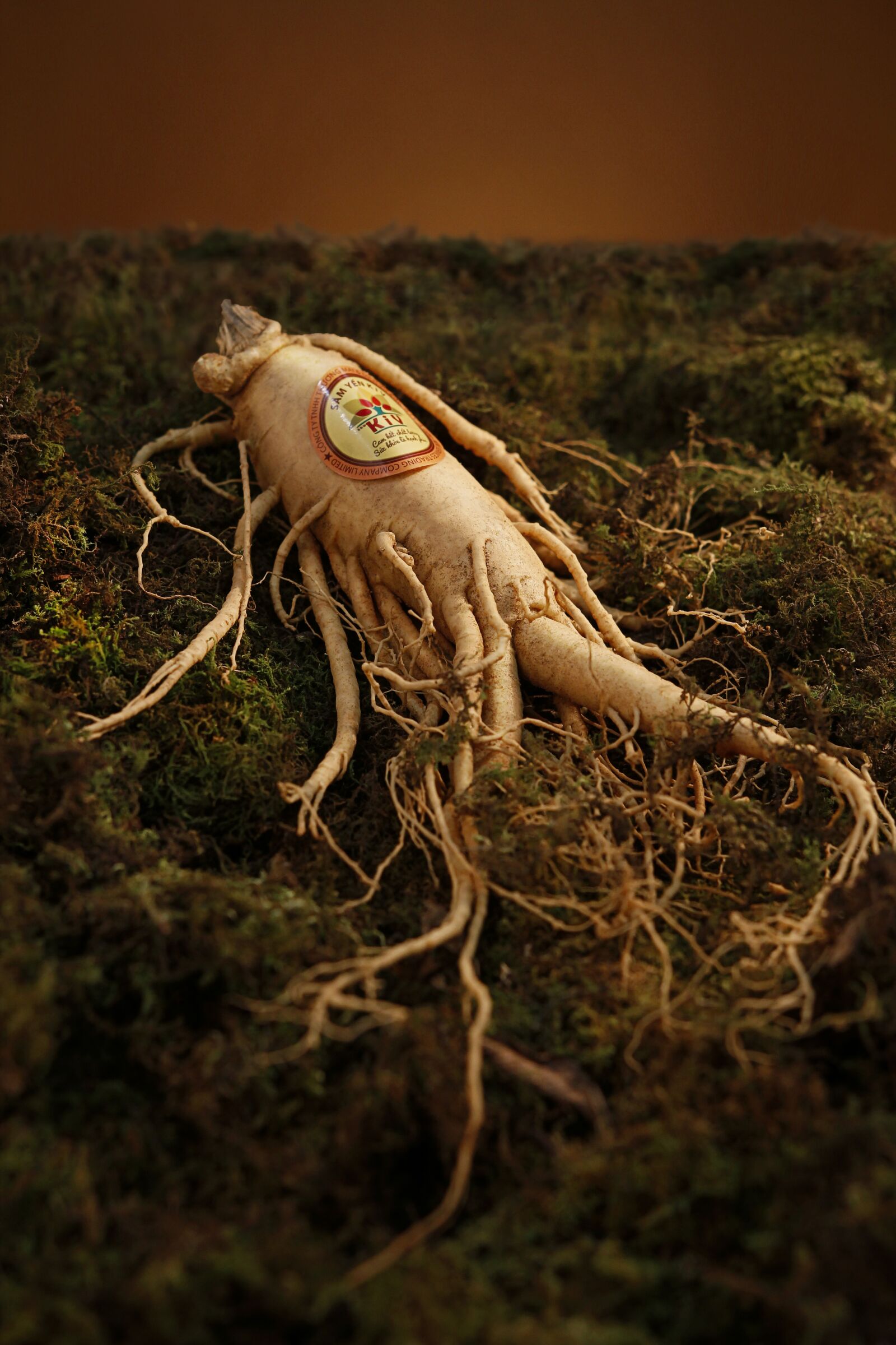 Canon EOS 550D (EOS Rebel T2i / EOS Kiss X4) sample photo. Ginseng, yellow, grass photography