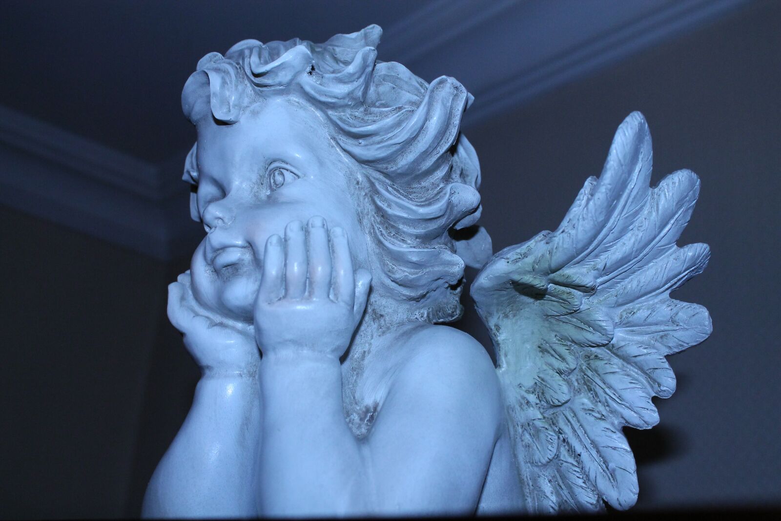 Canon EOS 1100D (EOS Rebel T3 / EOS Kiss X50) sample photo. Angel, wing, trinket photography